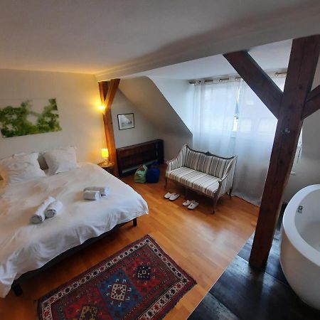שטרסבורג 145M² City Center 4 Bedrooms View Of The Cathedral מראה חיצוני תמונה