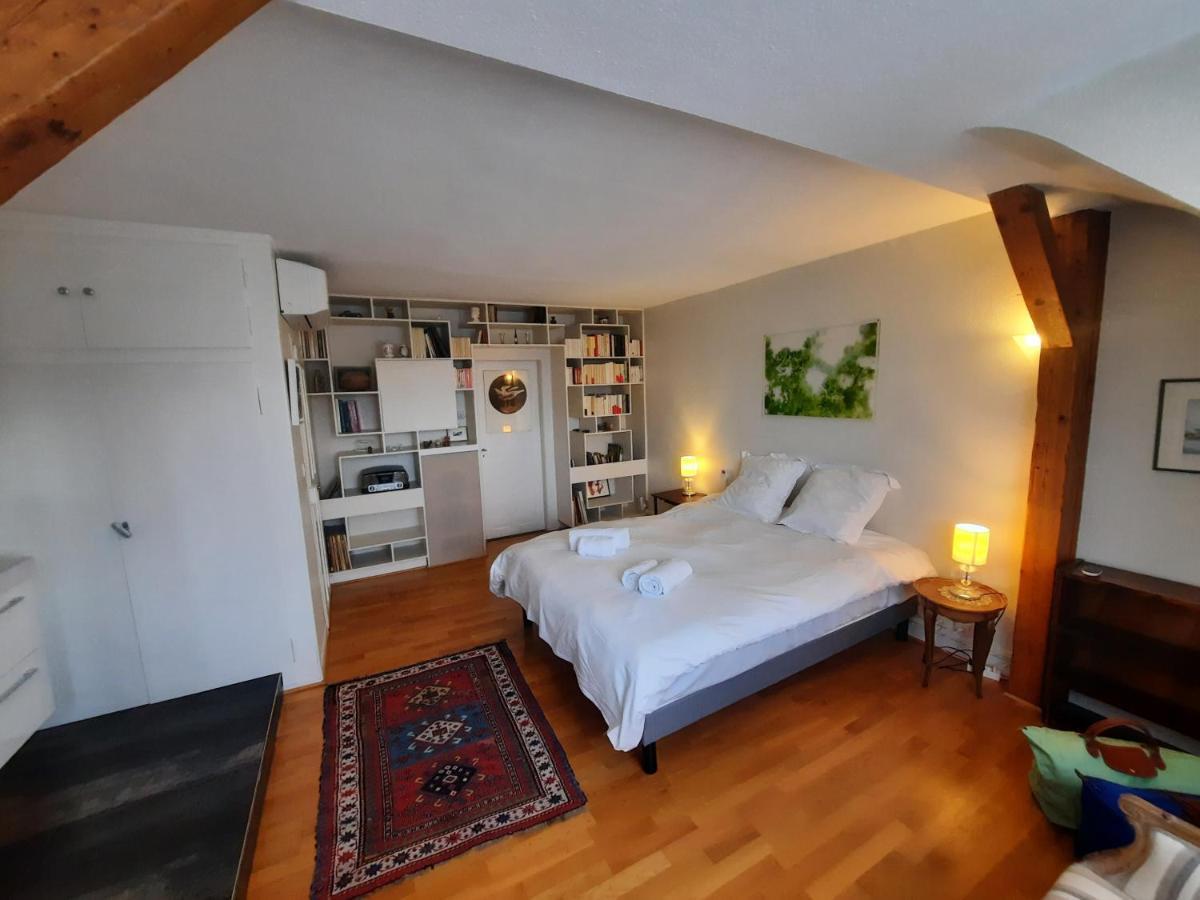 שטרסבורג 145M² City Center 4 Bedrooms View Of The Cathedral מראה חיצוני תמונה