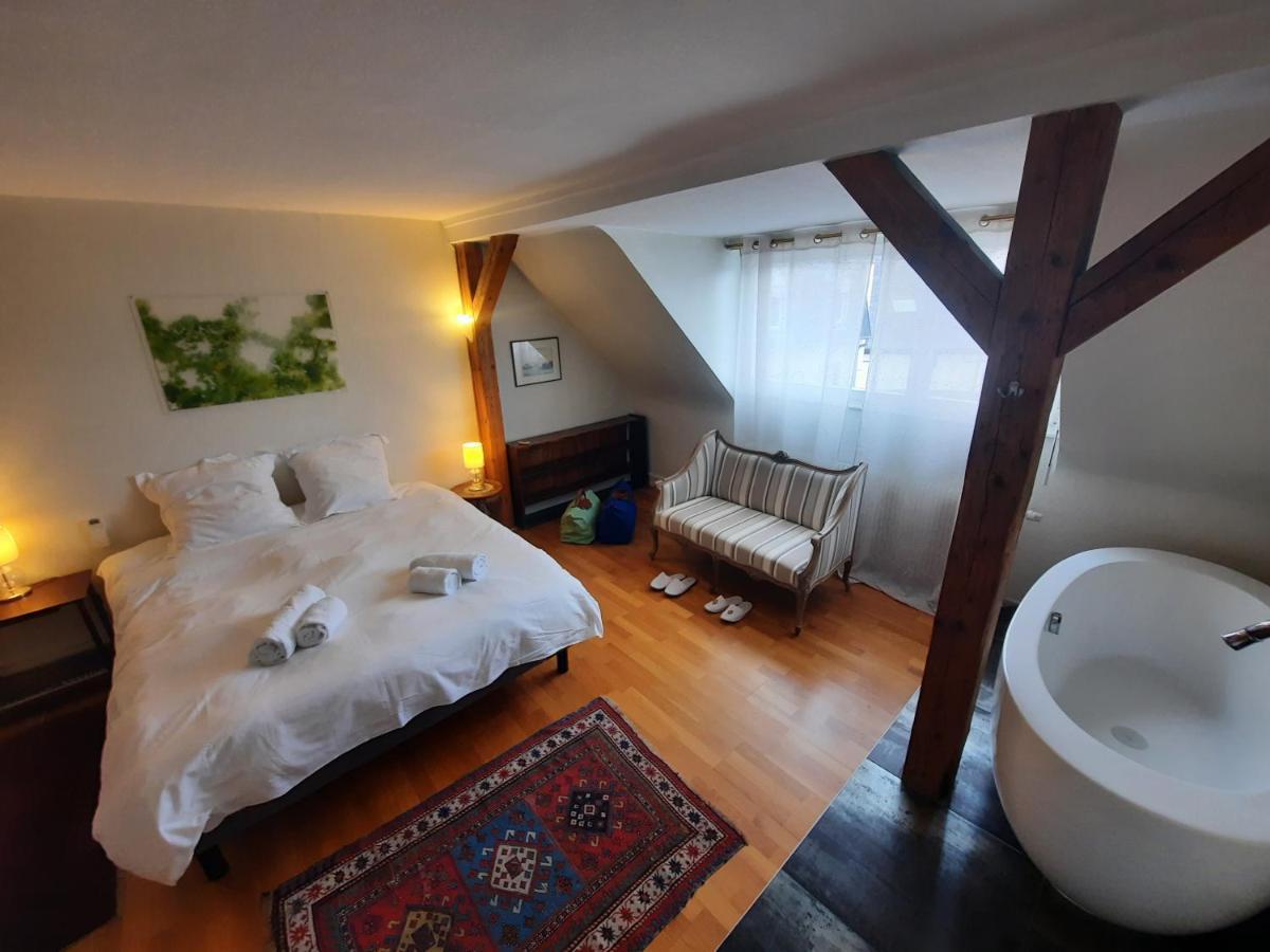 שטרסבורג 145M² City Center 4 Bedrooms View Of The Cathedral מראה חיצוני תמונה